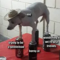 Dog on cans