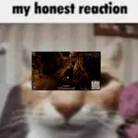 My Honest Reaction