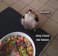 Loops Brother