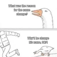 Goose Chase