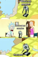 what is my purpose