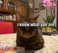 I know what you are