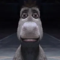 donkey staring