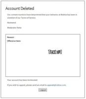 banned from ROBLOX
