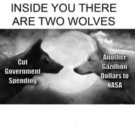 Inside you there are two wolves