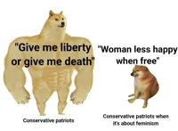 Big dog small dog