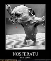 nosferatu