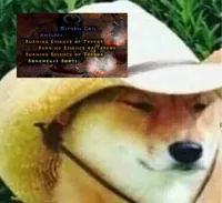 what in tarnation