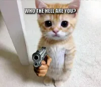 Standing Cat with Gun