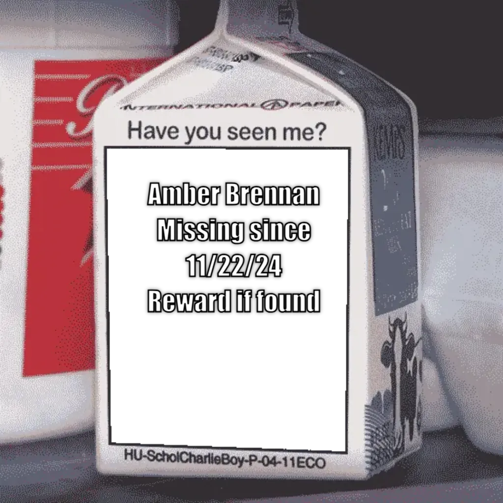 Missing Person