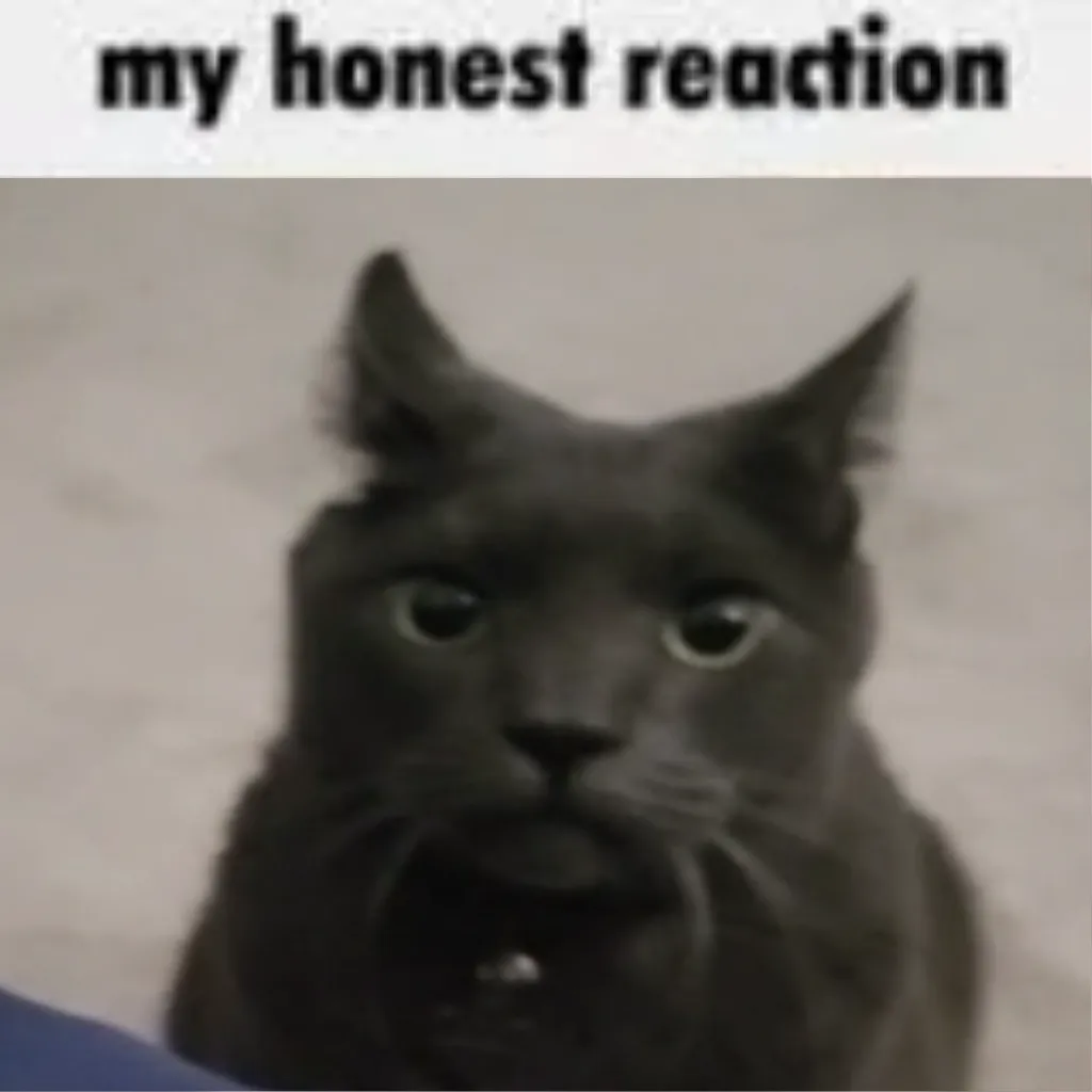 My Honest Reaction