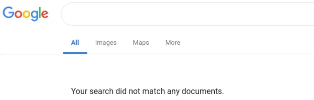 Google No Results