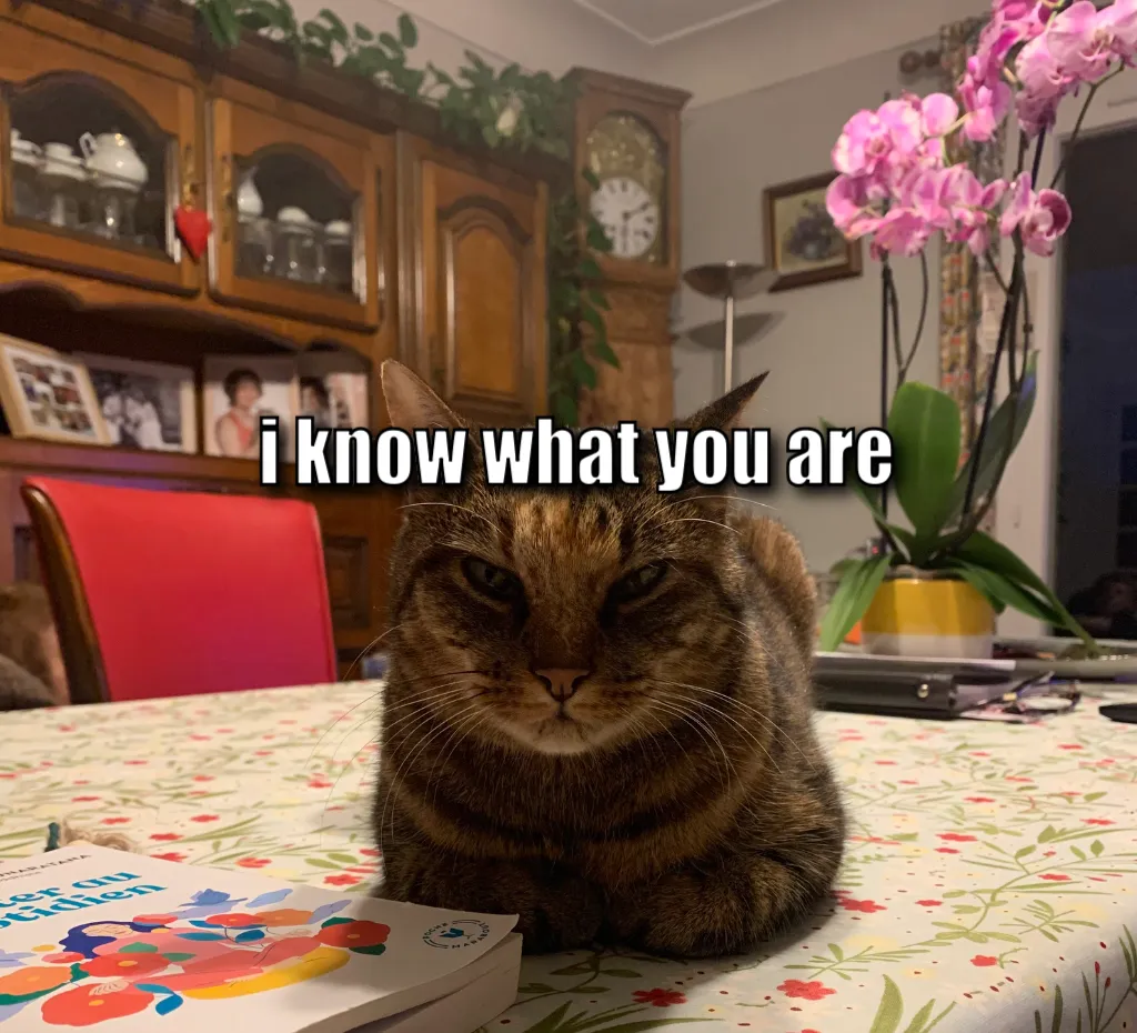 Meme Image