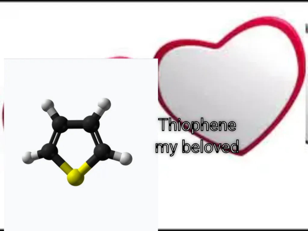 My beloved