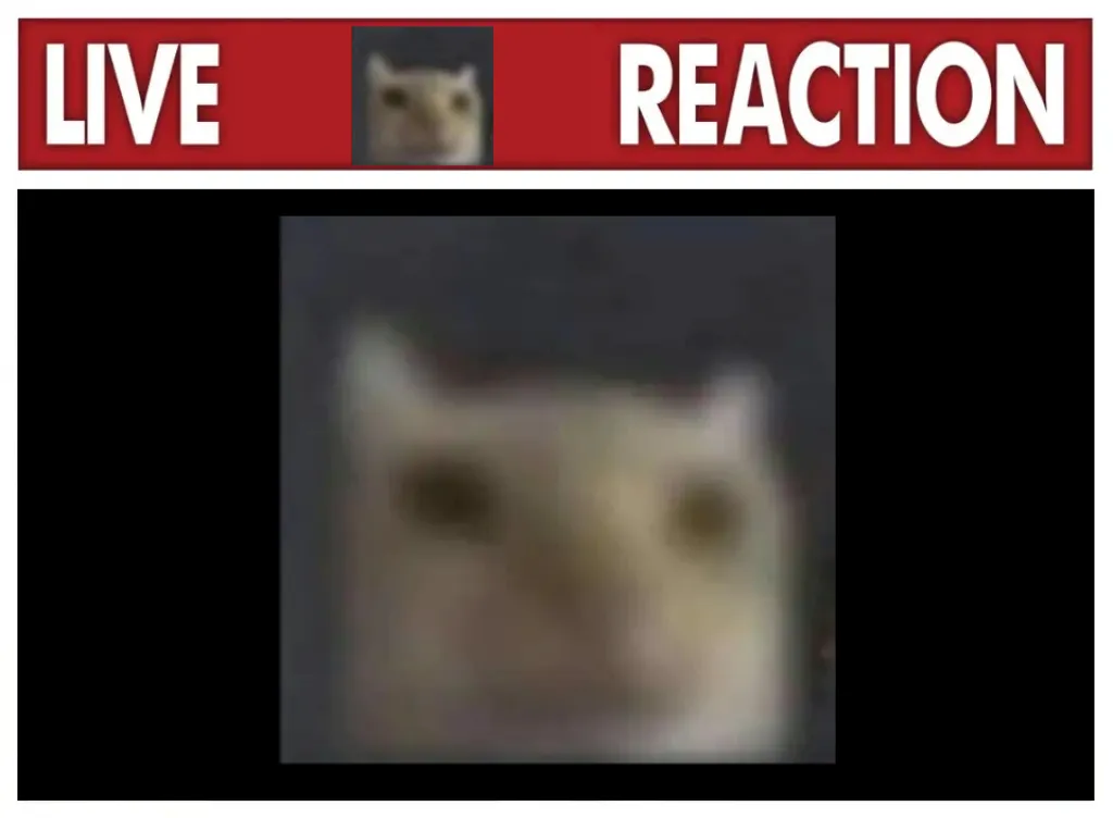 Meme Image