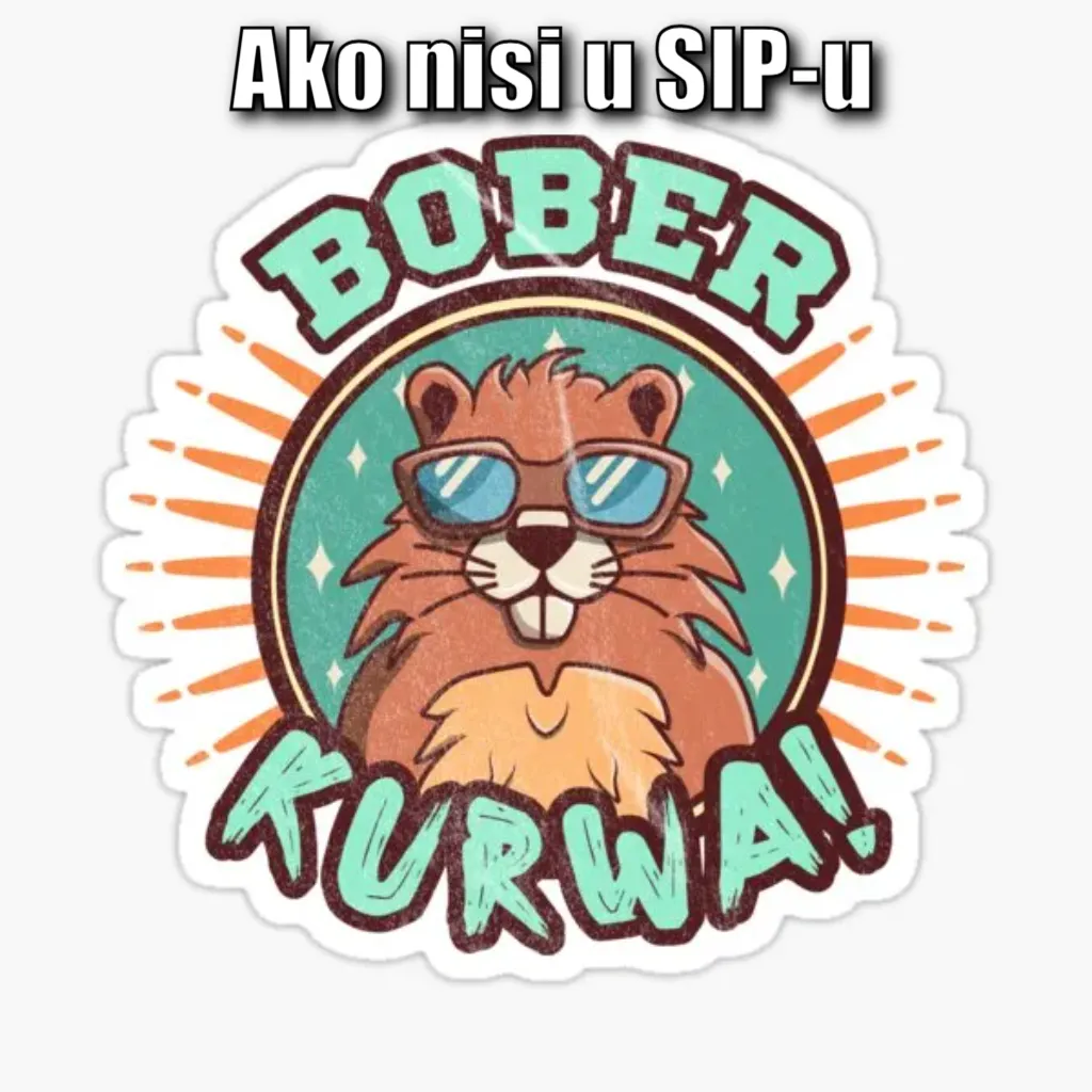 bober kurwa