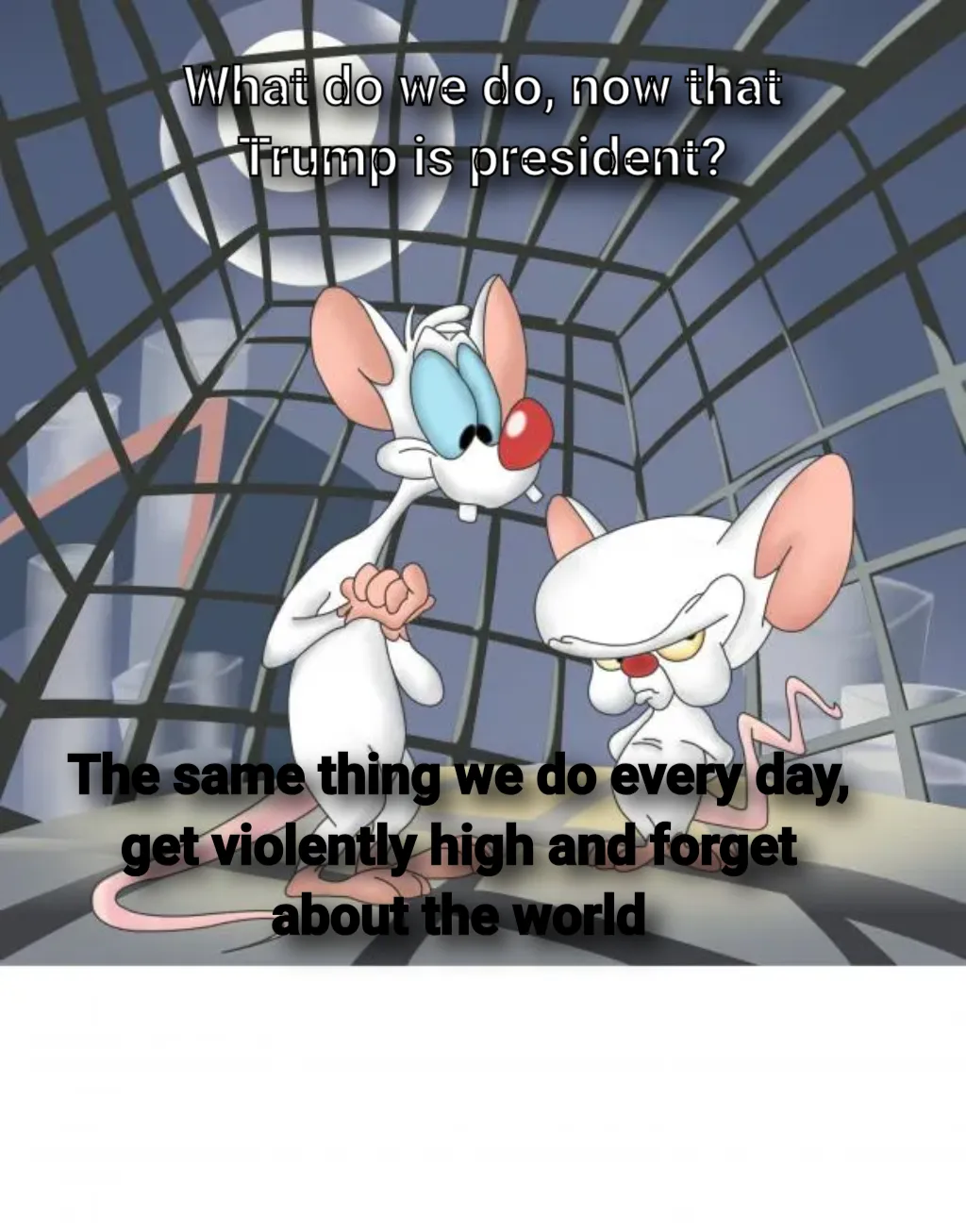 Pinky and the brain