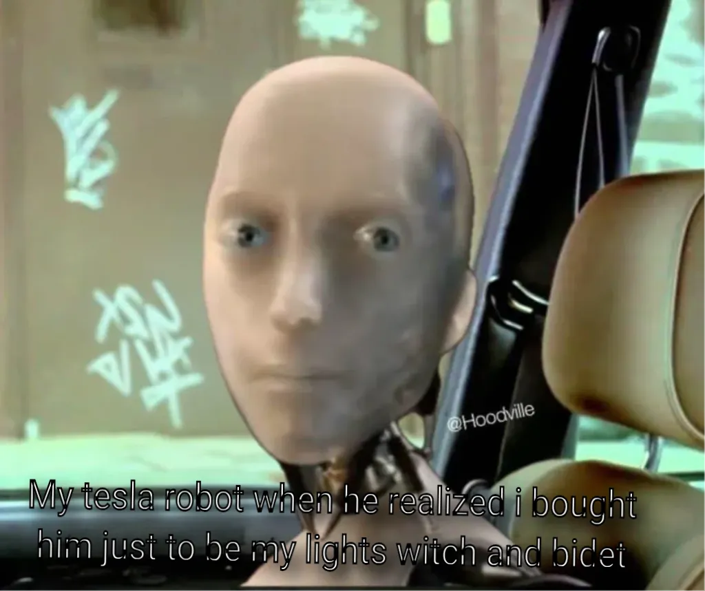 tesla robot