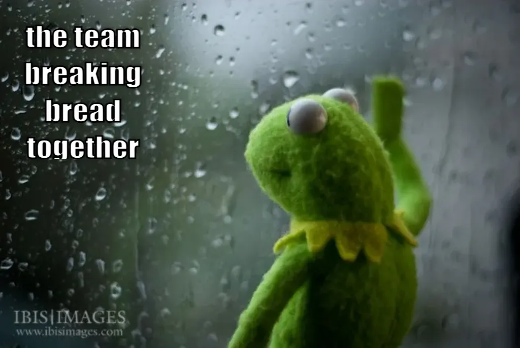 kermit window