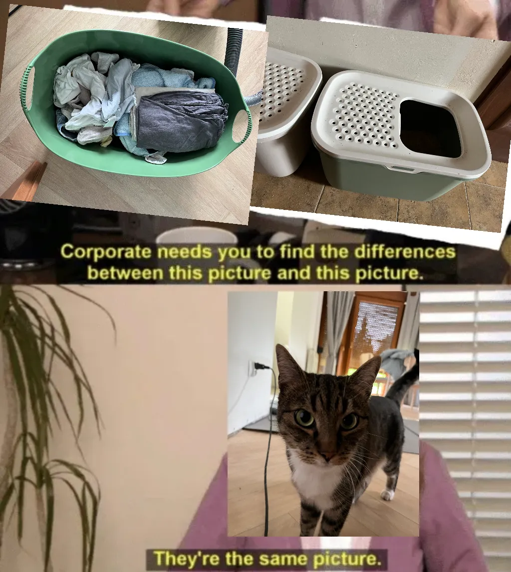 Meme Image