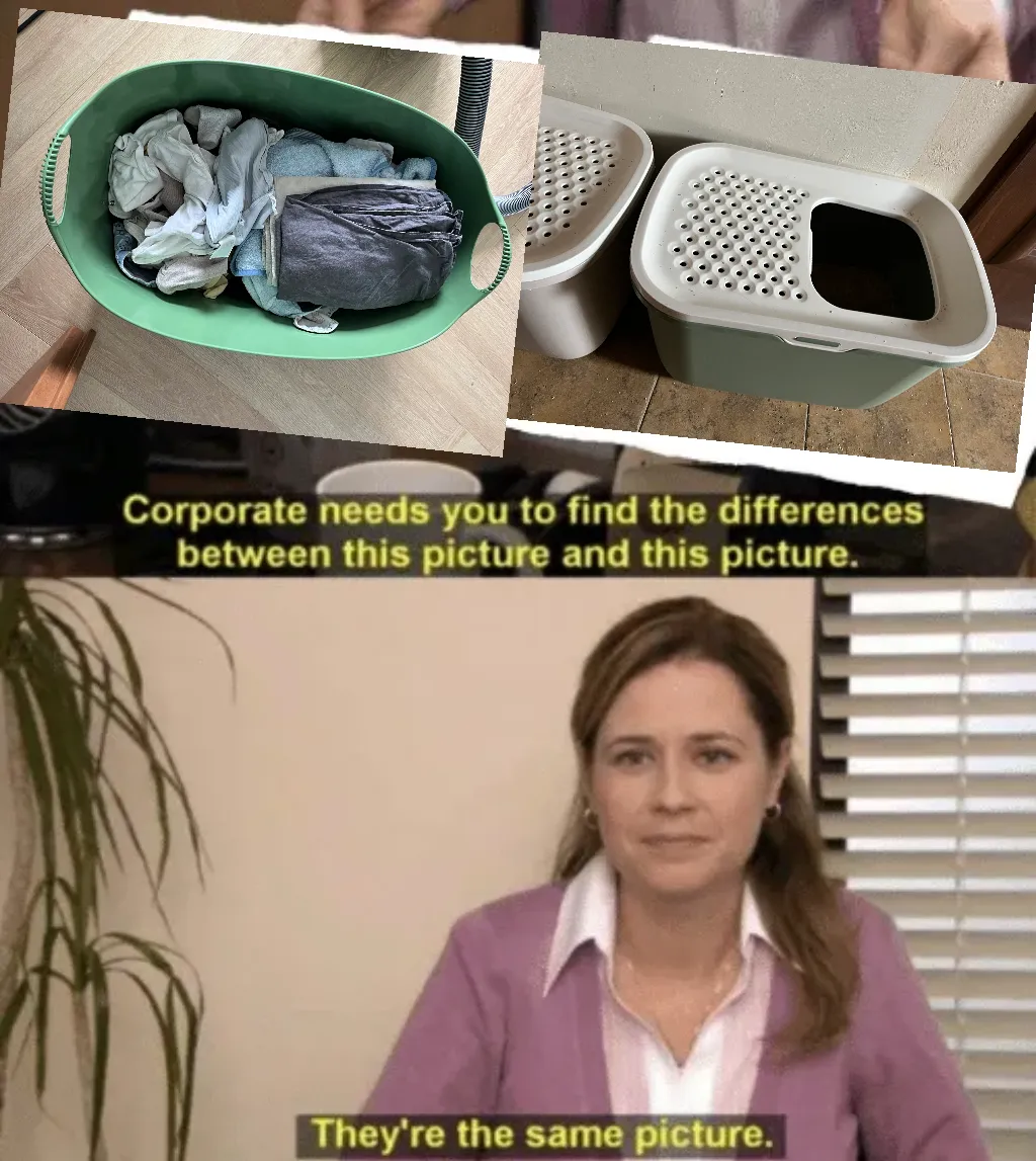 Meme Image