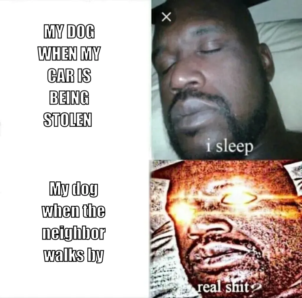 Sleeping Shaq