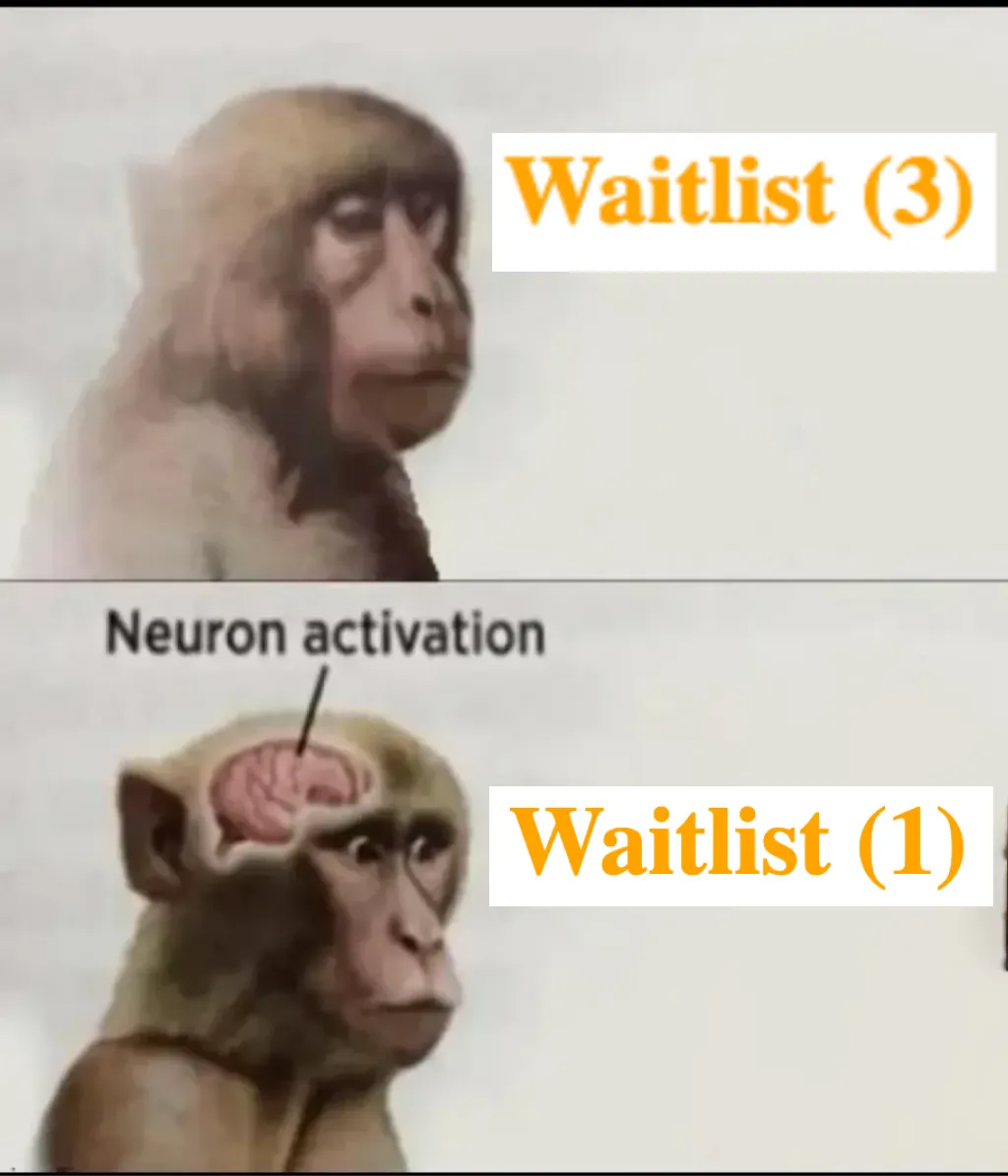 neuron activation