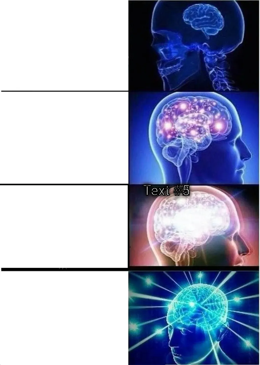 Expanding Brain