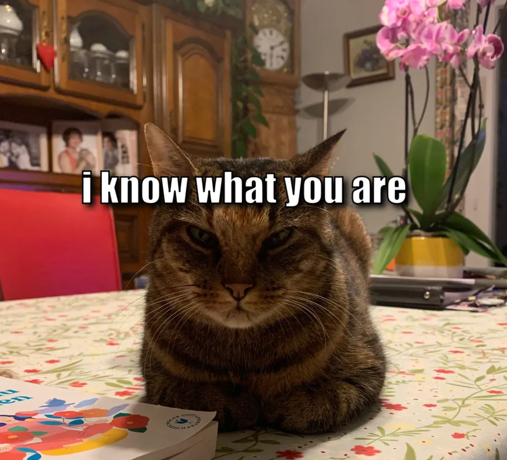 Meme Image