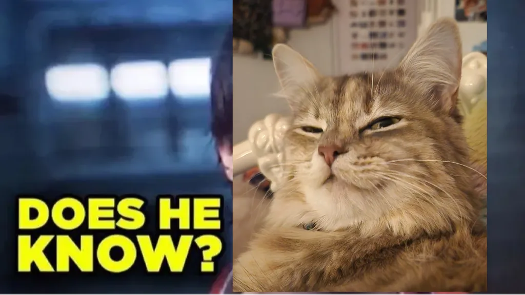 does he know