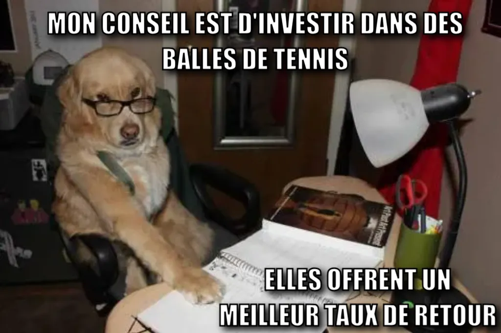 Accountant Dog