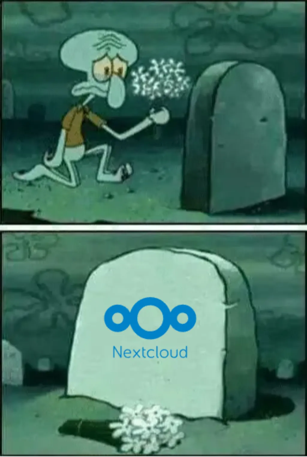 rip 