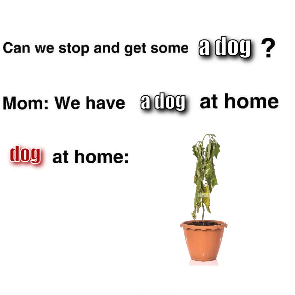 Meme Image