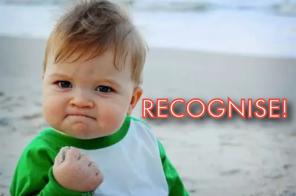 Success Kid Original