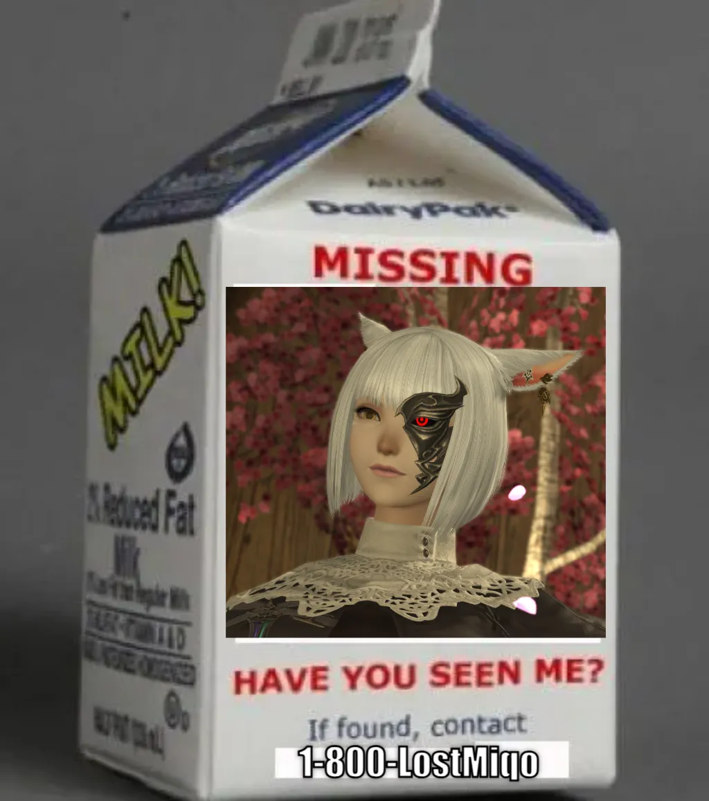 Meme Image