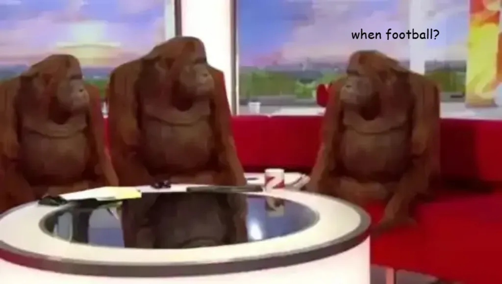Meme Image