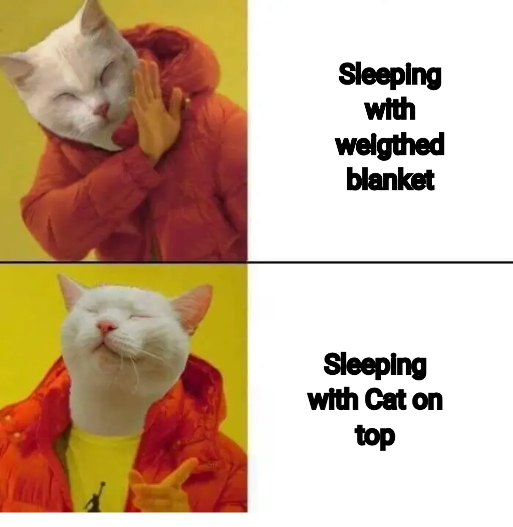 cat drake