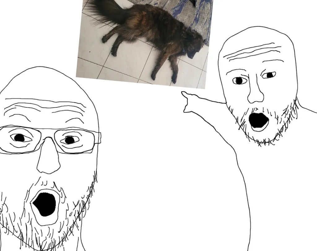 Wojak pointing