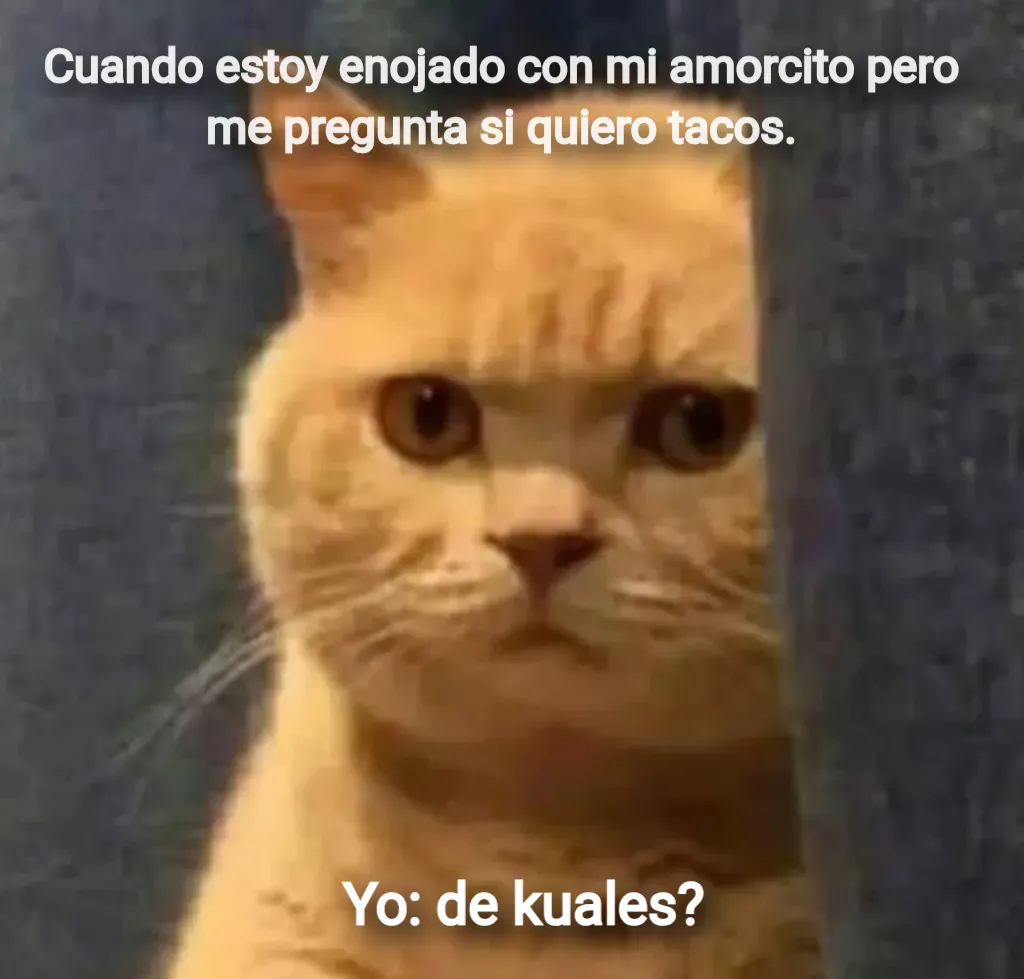 de kuales gato
