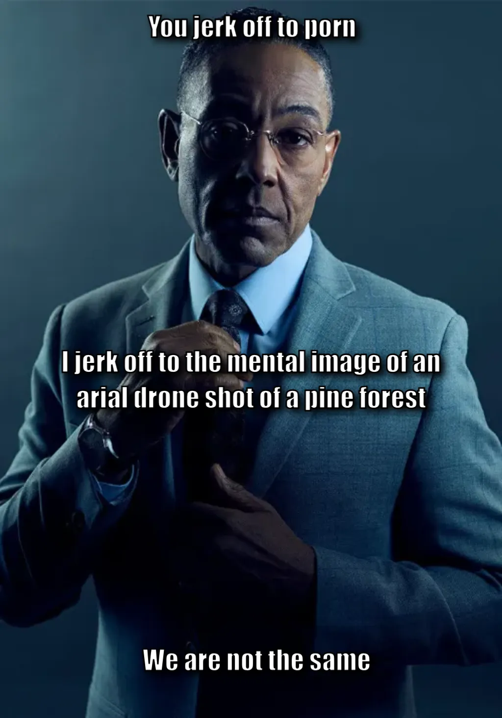 Gus Fring we are not the same