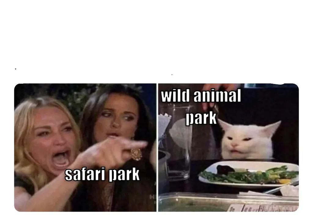 Housewives cat