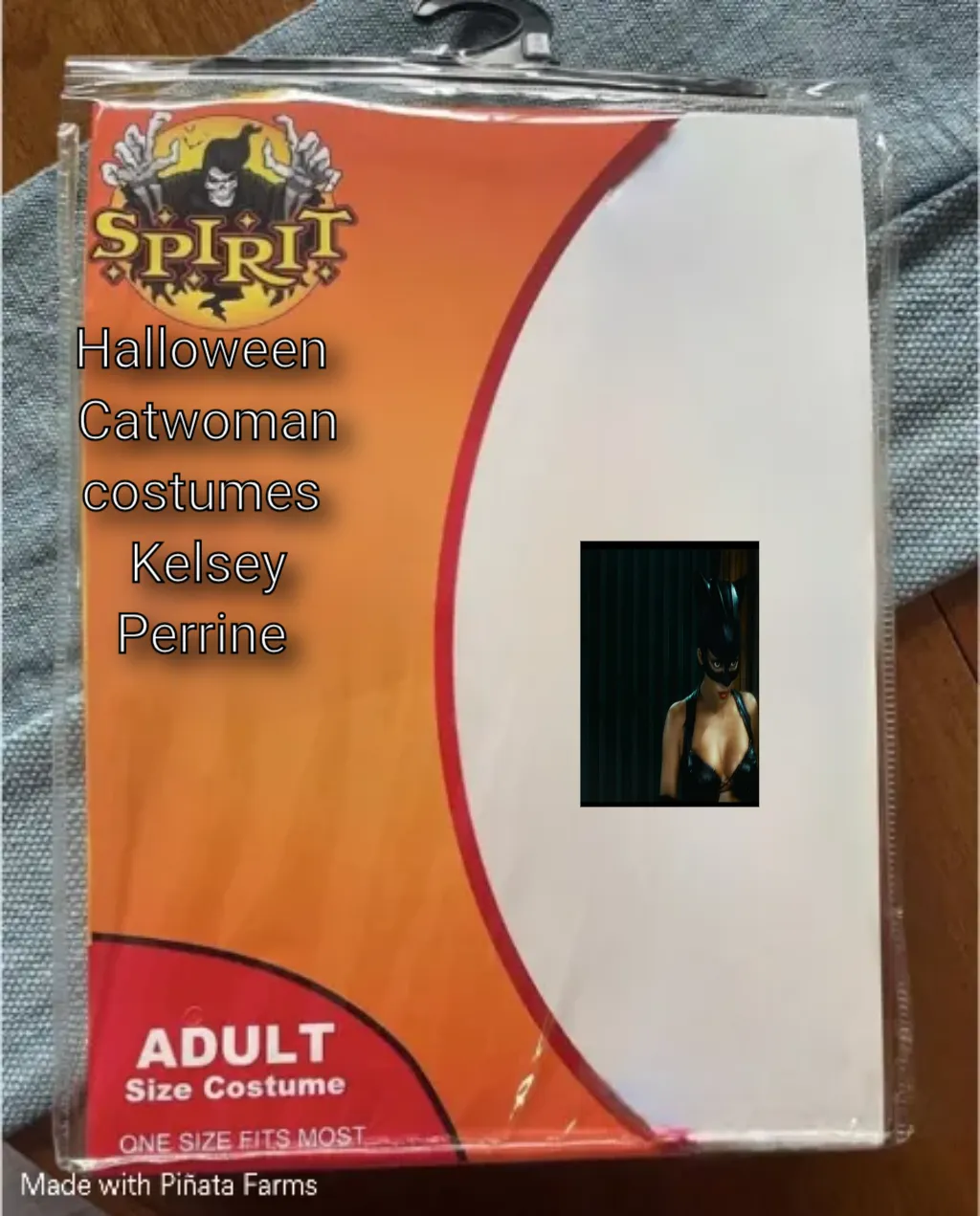 Spirit Halloween Costume