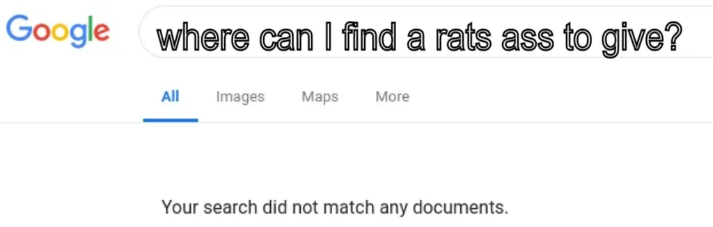 Google No Results