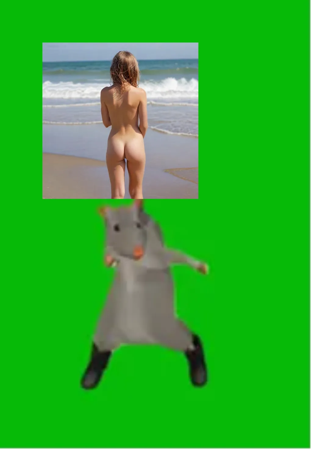 rat dance