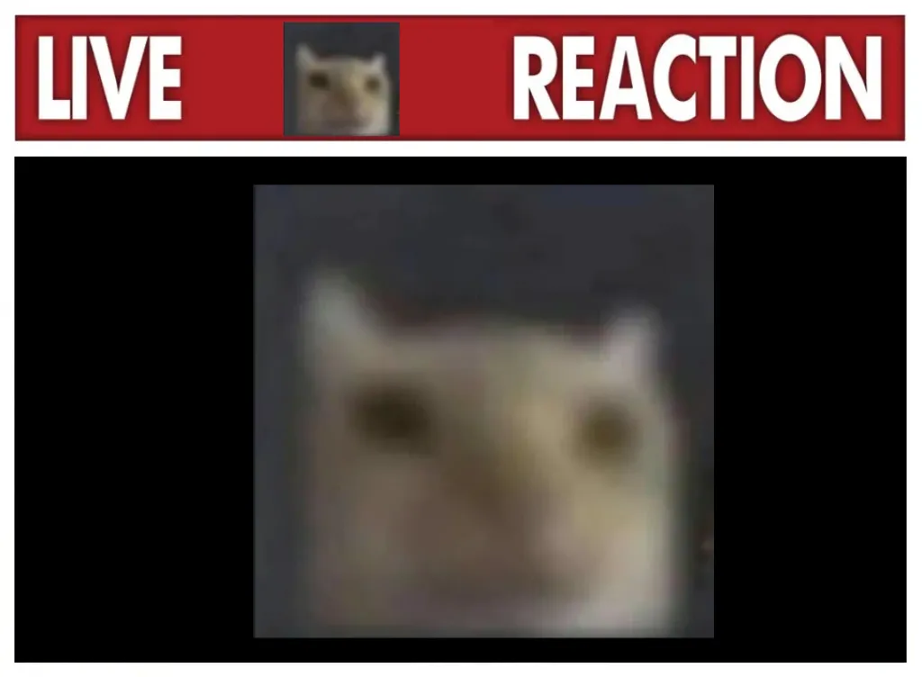 Meme Image