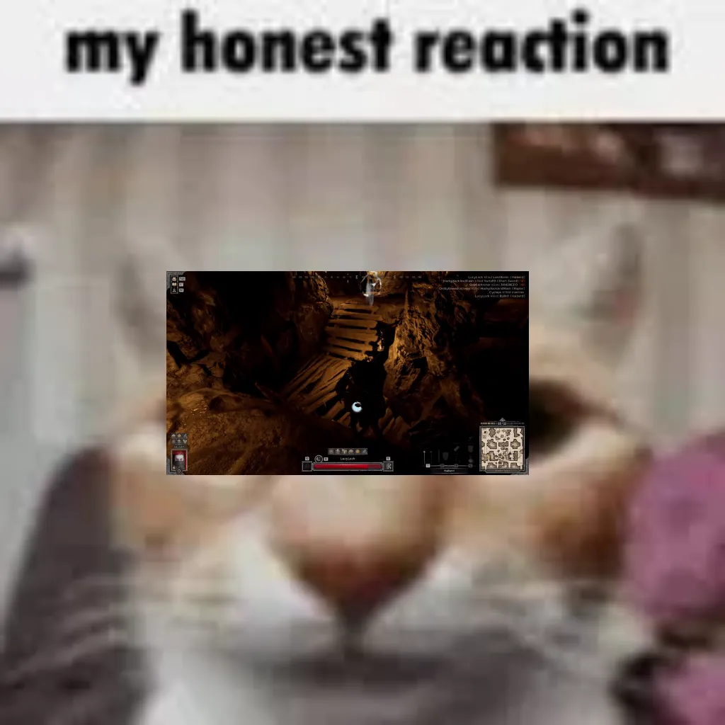 My Honest Reaction