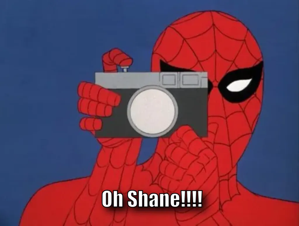 Spiderman Camera