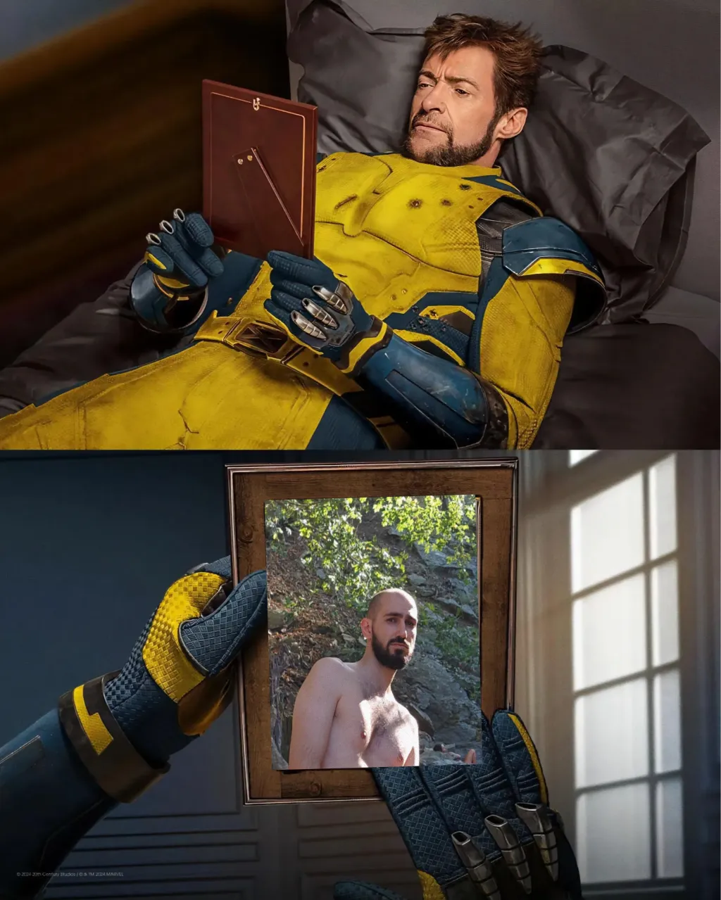 wolverine picture
