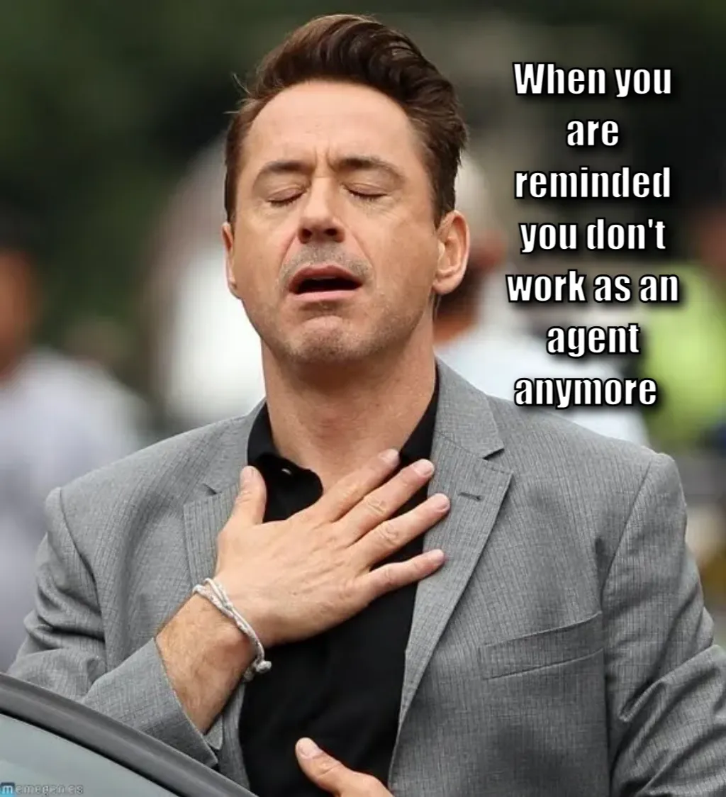 robert downey jr