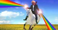 Bernie Birthday